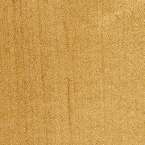 maple